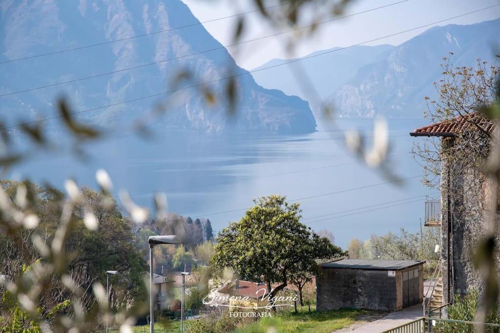 Il Giardino Di Laura Apartman Costa Volpino Kültér fotó